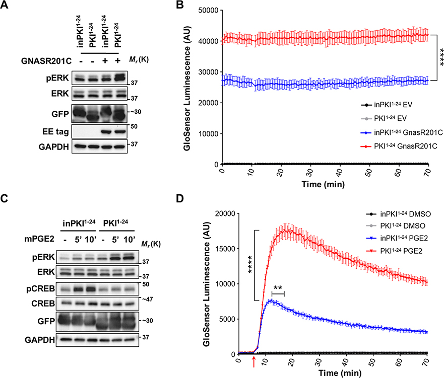 Figure 4: