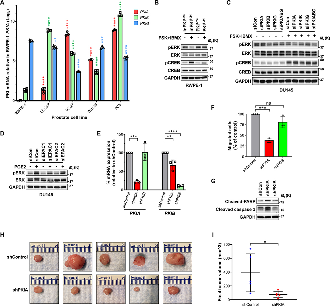 Fig. 7: