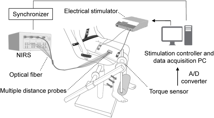 Fig. 2