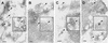 Figure 9.