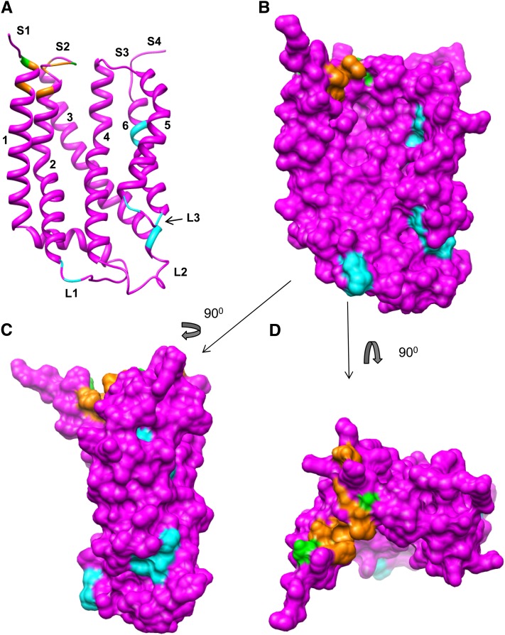 Figure 10.