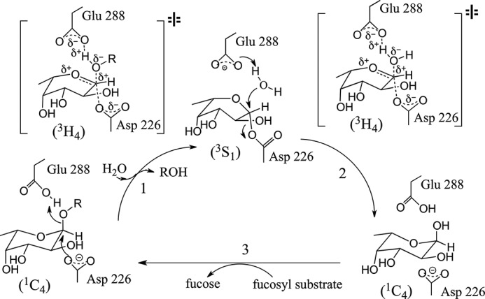 FIGURE 1.