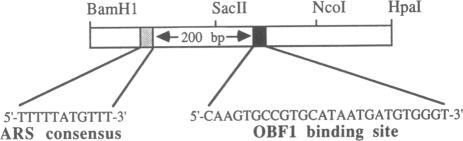 graphic file with name pnas00255-0111-a.jpg