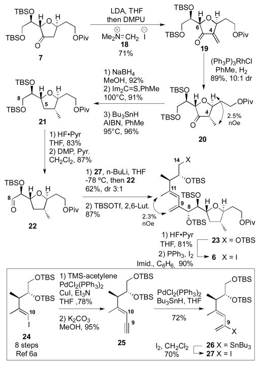 Scheme 3