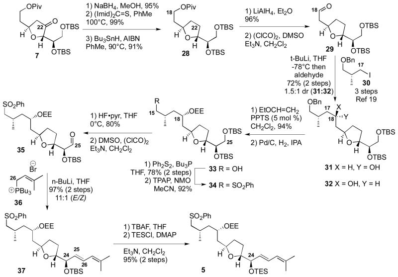 Scheme 4