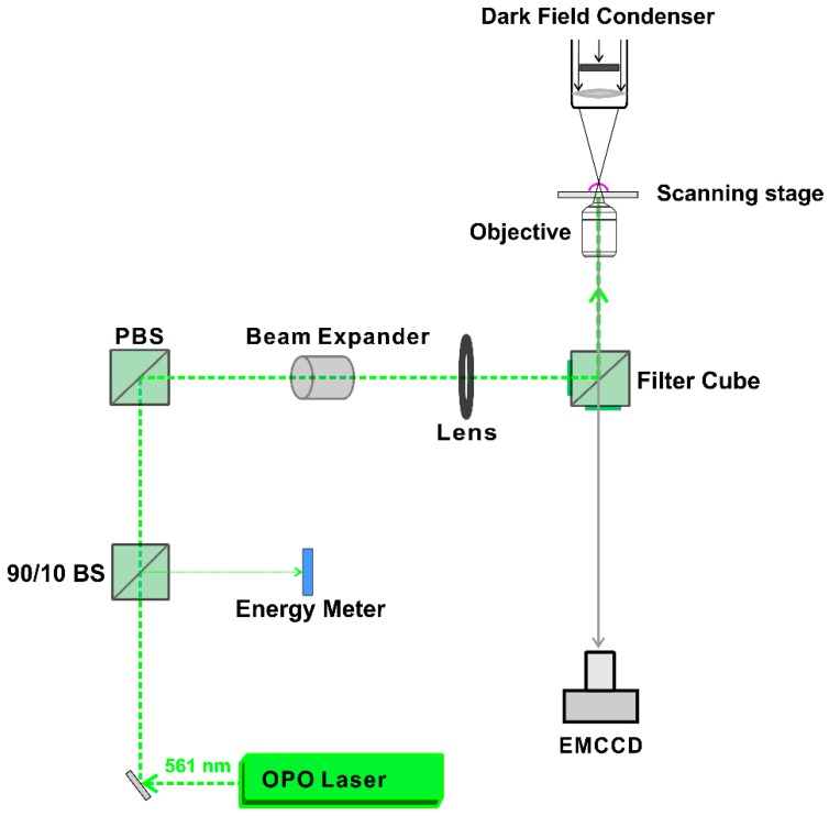 Figure 10