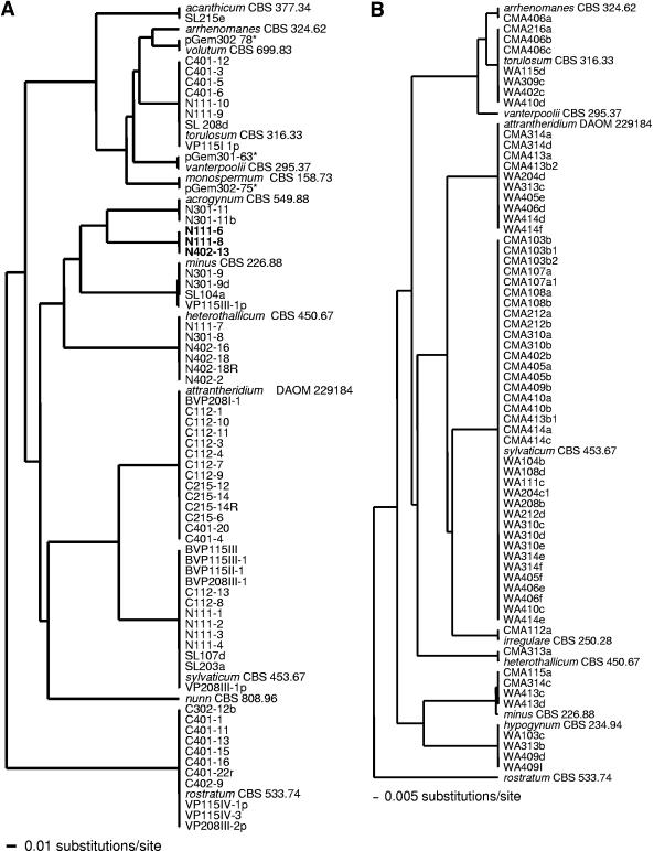 FIG. 4.