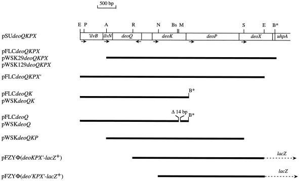 FIG. 2.