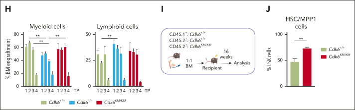 Figure 3.