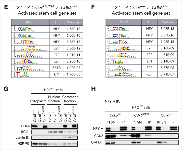 Figure 4.