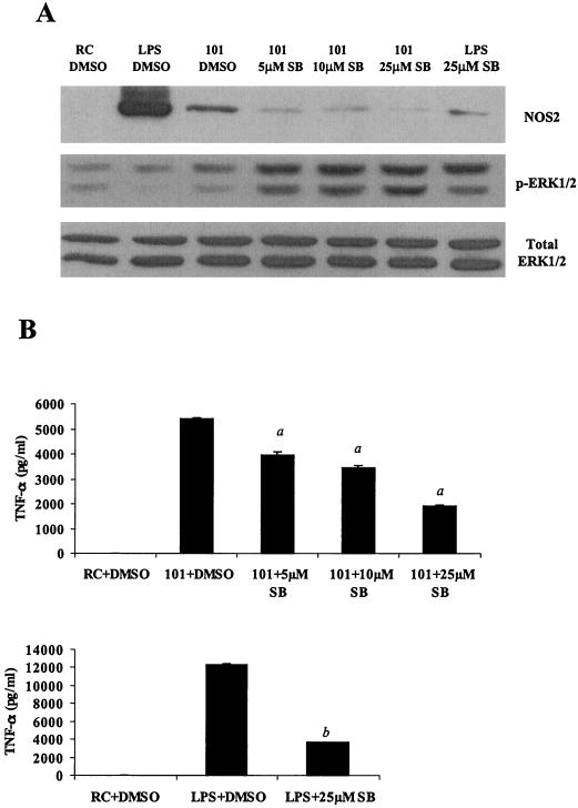 FIG. 5.