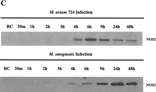 FIG. 4.