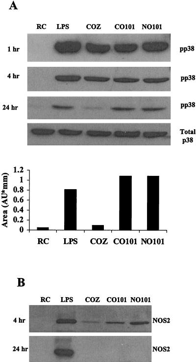 FIG. 1.