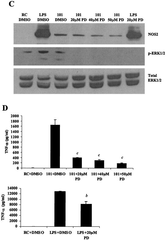 FIG. 5.