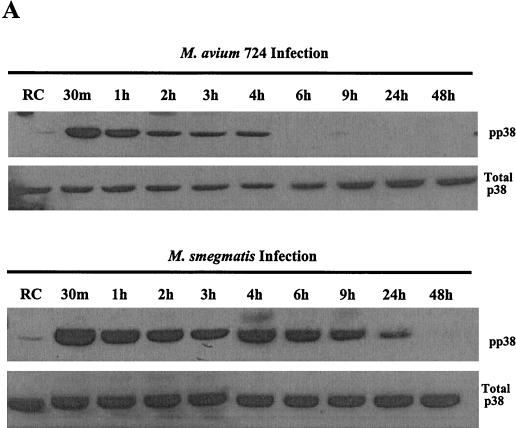 FIG. 4.