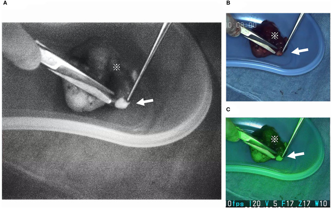 Figure 6