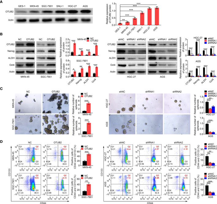 Figure 2