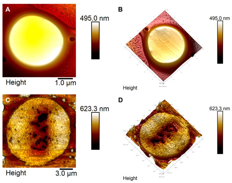 Figure 5