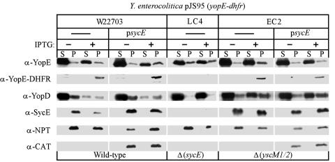 FIG. 10.