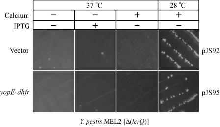 FIG. 8.