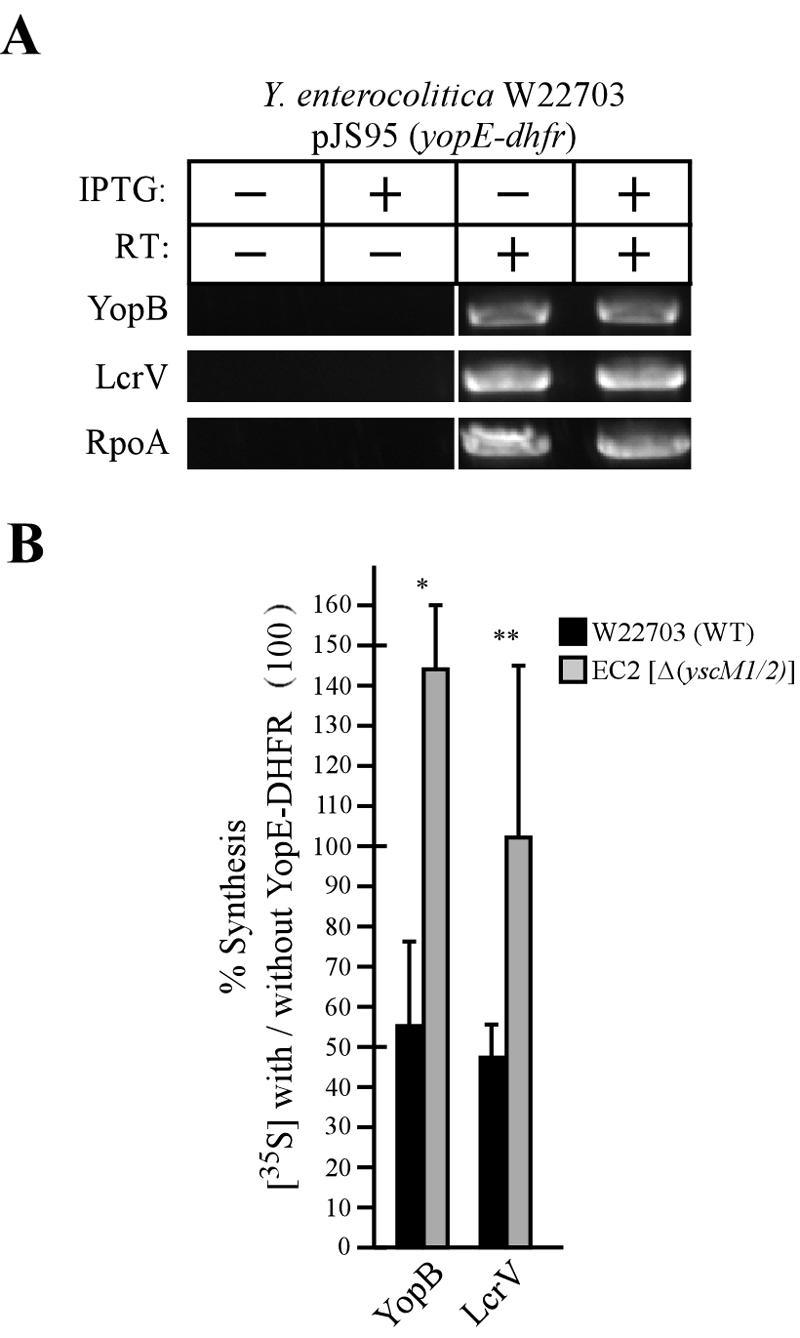 FIG. 7.