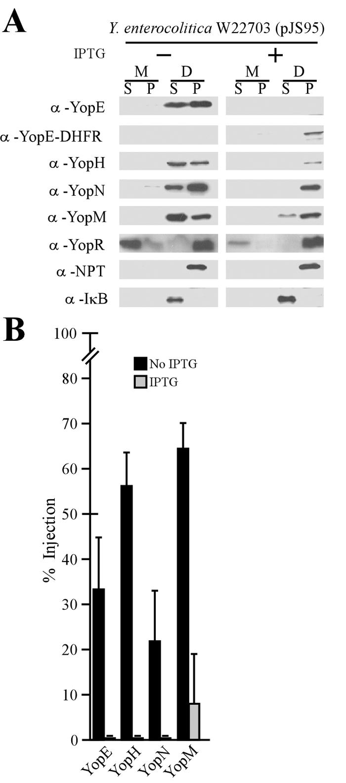 FIG. 5.