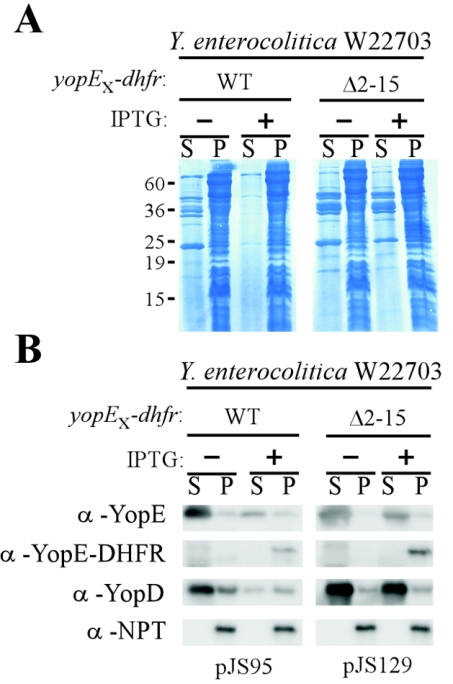 FIG. 11.