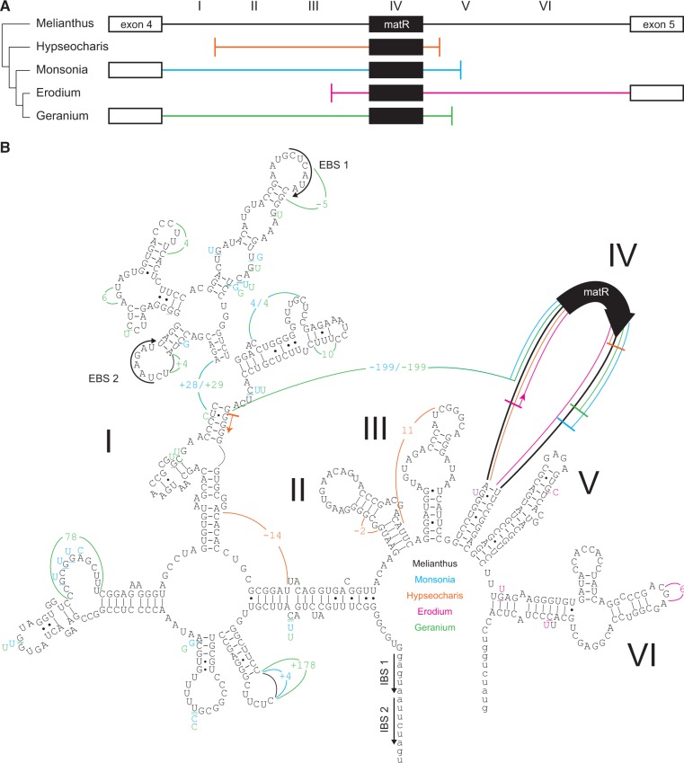 Fig. 2.—