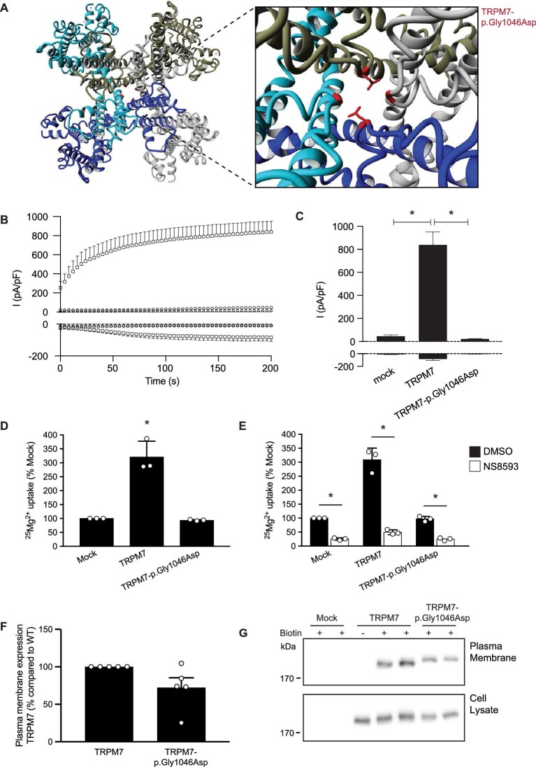 FIGURE 4: