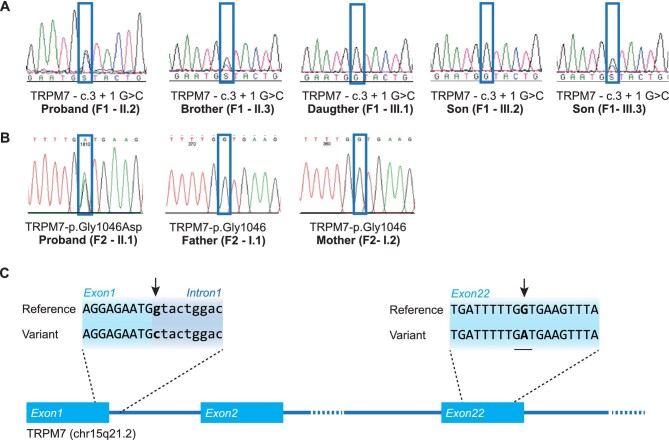 FIGURE 2: