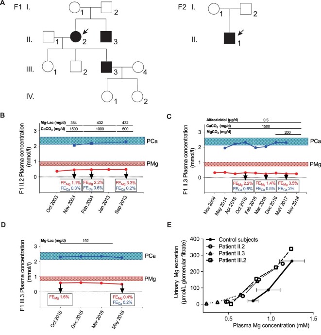 FIGURE 1: