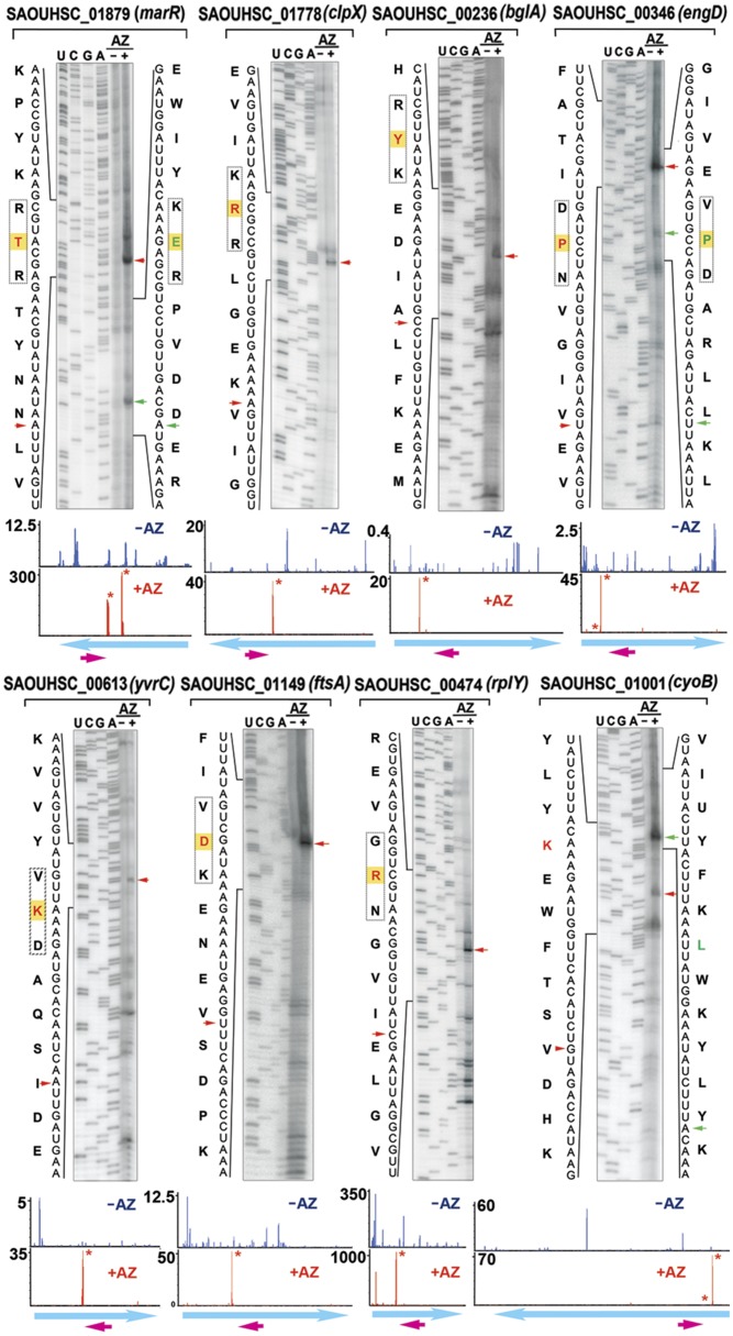 Fig. 3.