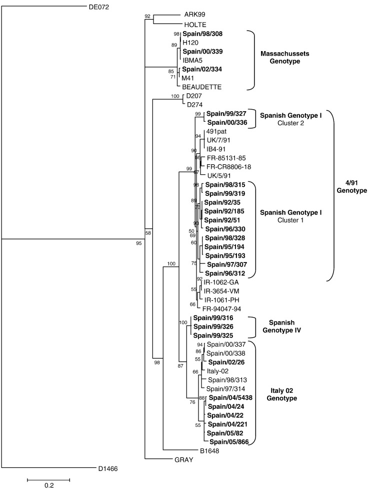 Fig. 1