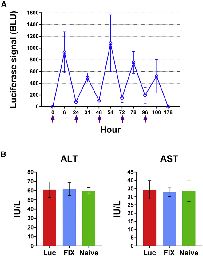 Figure 2