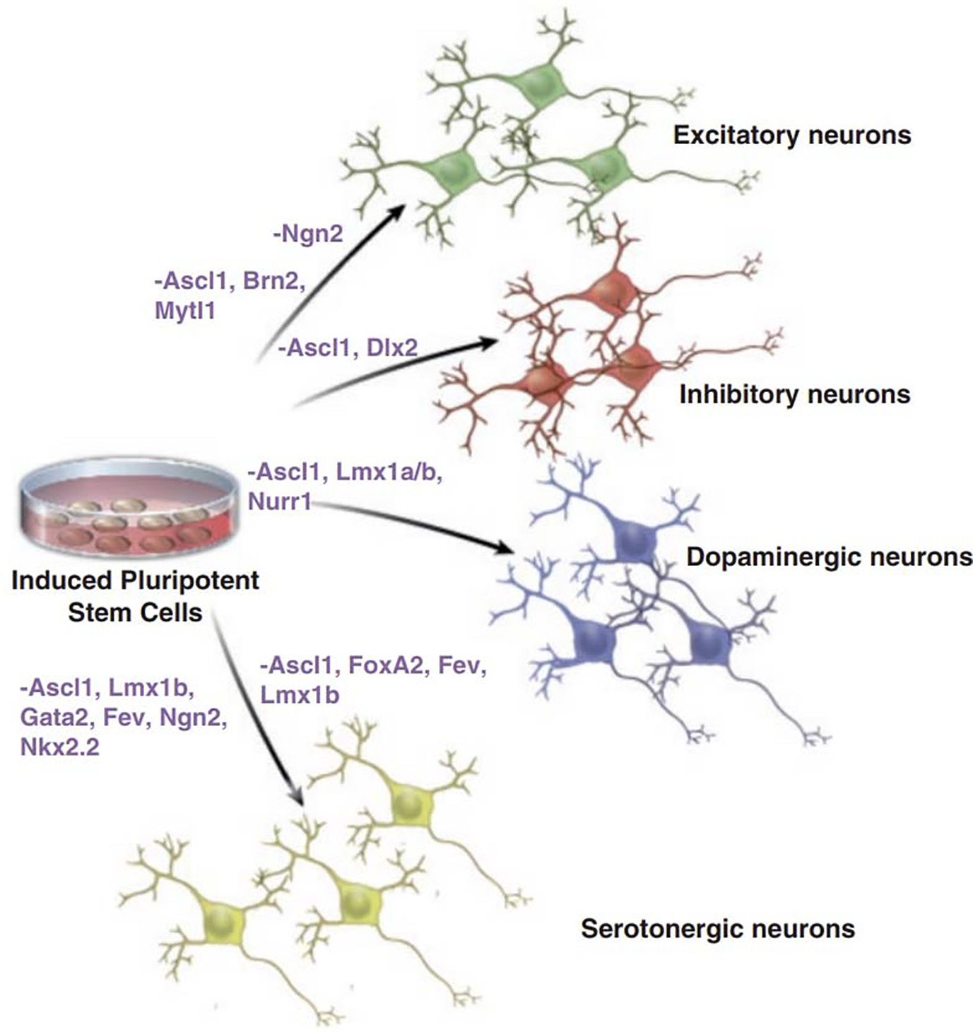 Figure 3.