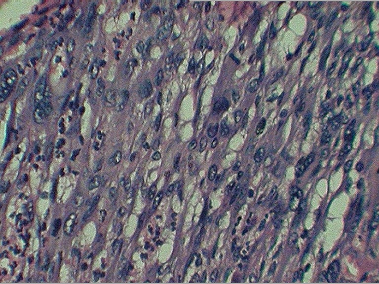 Fig.
                            6