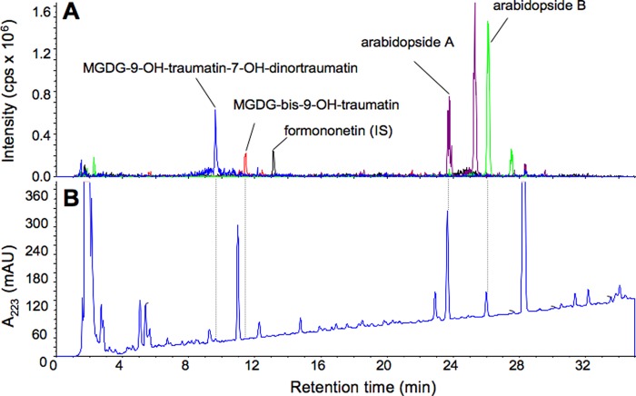 FIGURE 4.