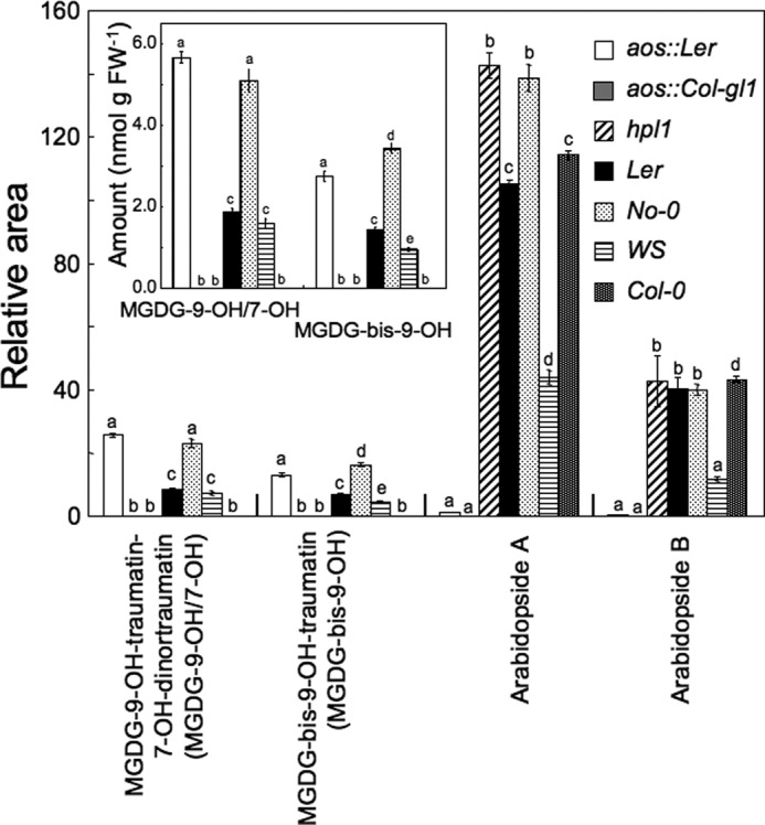 FIGURE 7.