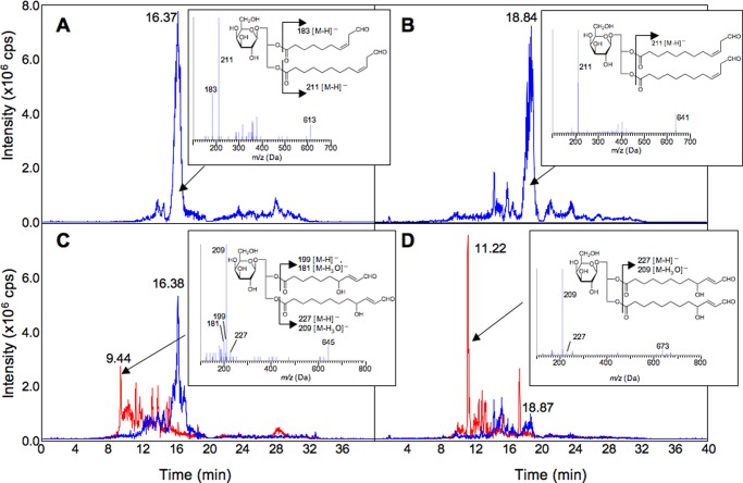 FIGURE 3.