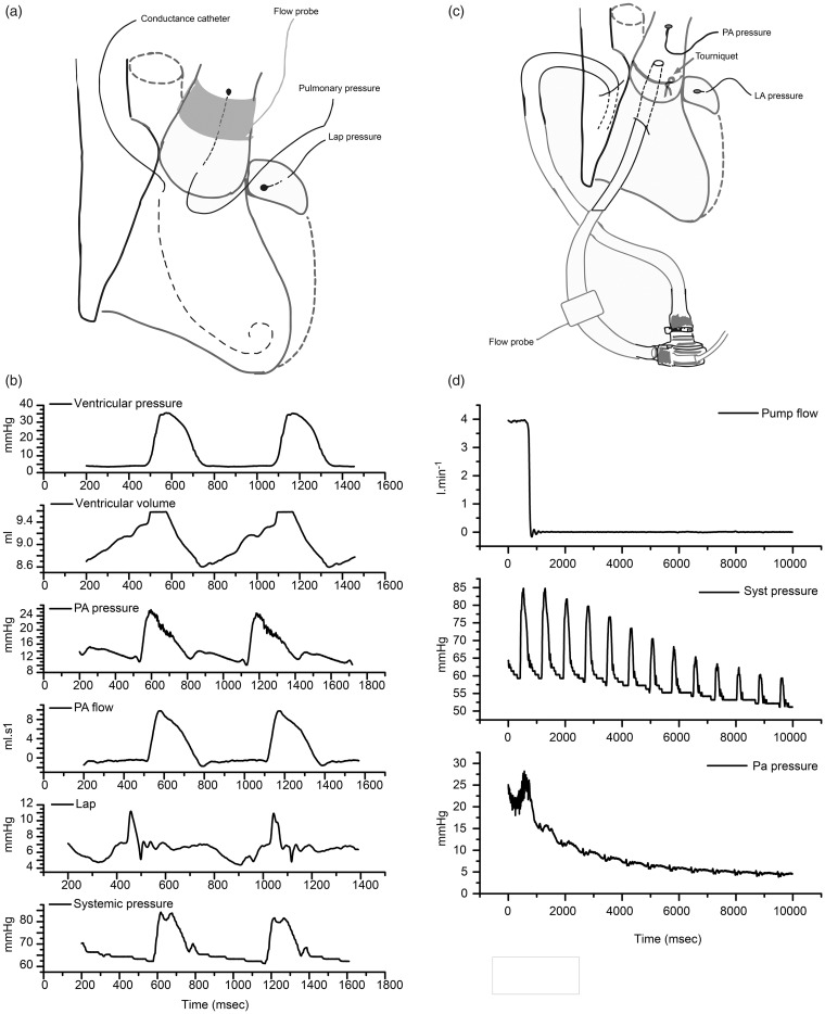 Fig. 1.