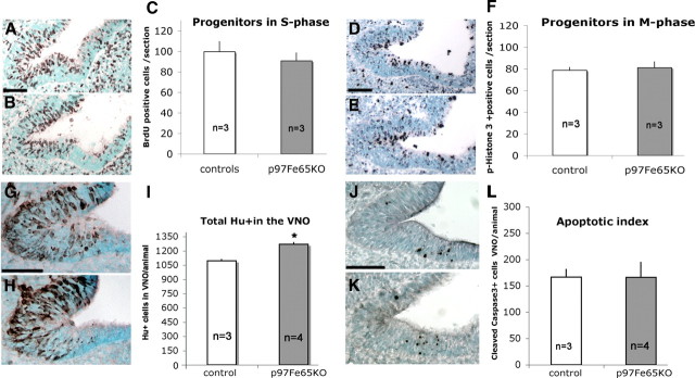 Figure 10.