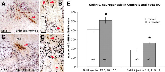 Figure 5.