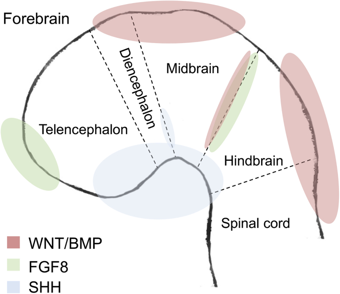 Figure 2