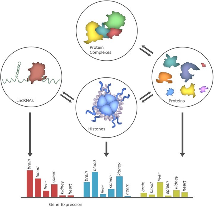 Graphical Abstract