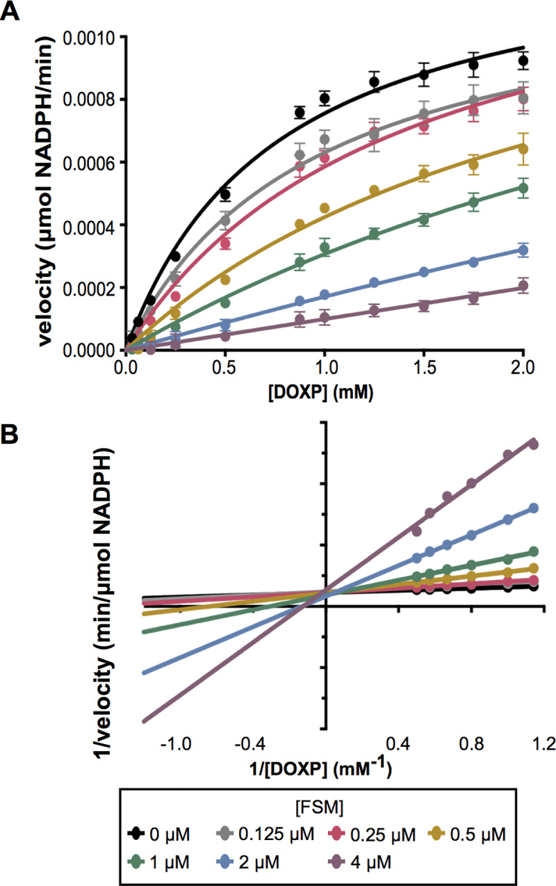 Fig 3