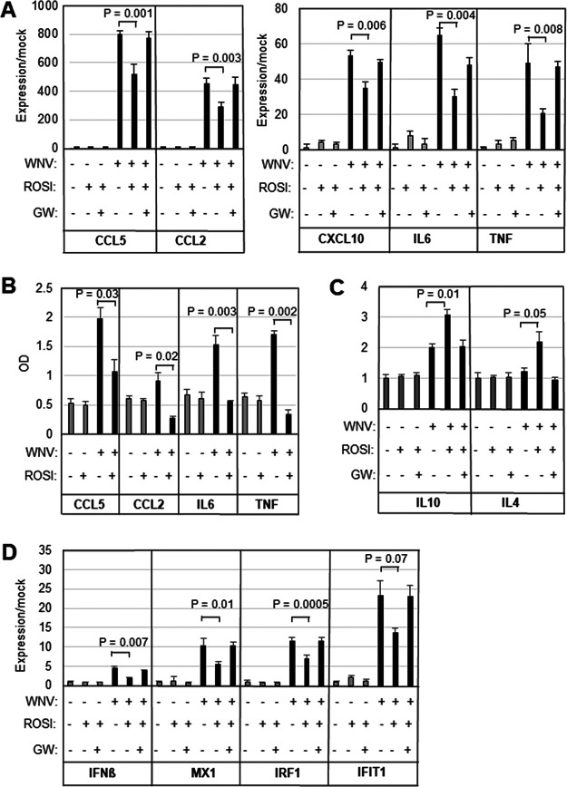 FIG 1