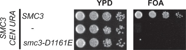 Figure 4—figure supplement 4.