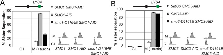 Figure 4—figure supplement 6.