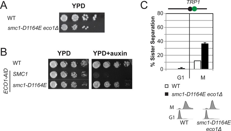 Figure 3—figure supplement 6.