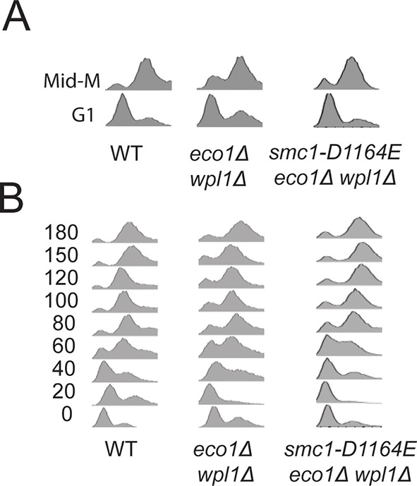 Figure 3—figure supplement 1.